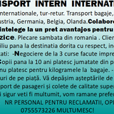 Transport intern, international